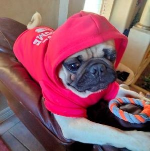 Meet your Posher, Luz